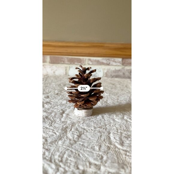Pinecone & Birch Place Card Holders - Set Of 10 Natural Rustic Table Decor - Picture 10 of 11